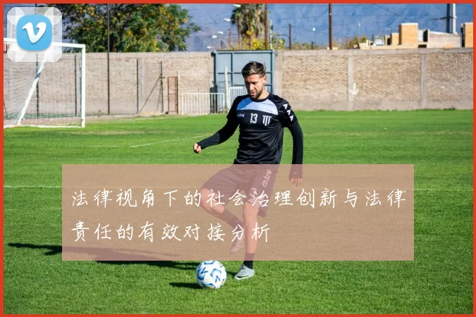 法律视角下的社会治理创新与法律责任的有效对接分析