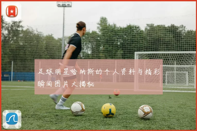 足球明星哈纳斯的个人资料与精彩瞬间图片大揭秘