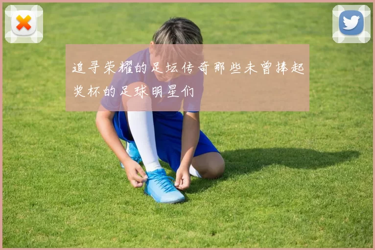 追寻荣耀的足坛传奇那些未曾捧起奖杯的足球明星们