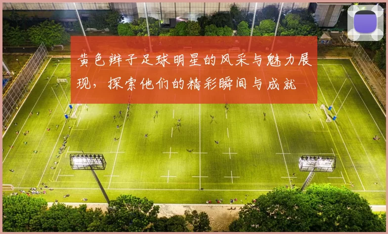 黄色辫子足球明星的风采与魅力展现，探索他们的精彩瞬间与成就