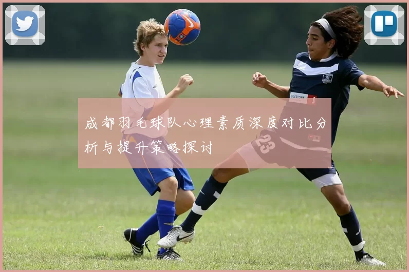 成都羽毛球队心理素质深度对比分析与提升策略探讨