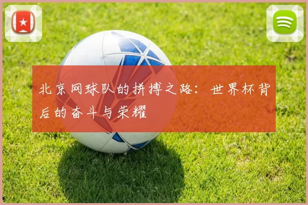 北京网球队的拼搏之路：世界杯背后的奋斗与荣耀