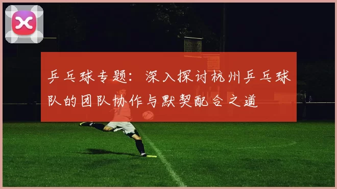 乒乓球专题：深入探讨杭州乒乓球队的团队协作与默契配合之道