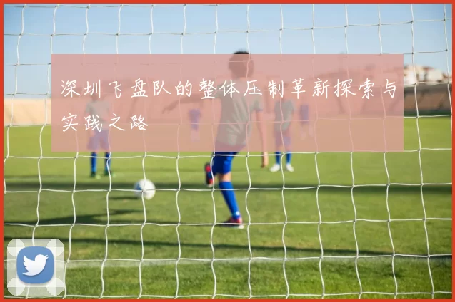 深圳飞盘队的整体压制革新探索与实践之路