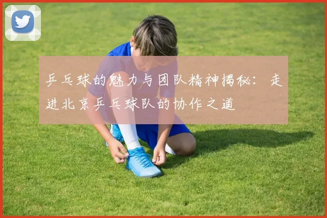 乒乓球的魅力与团队精神揭秘:走进北京乒乓球队的协作之道