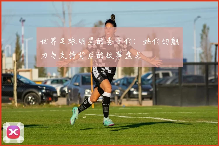 世界足球明星的妻子们：她们的魅力与支持背后的故事盘点