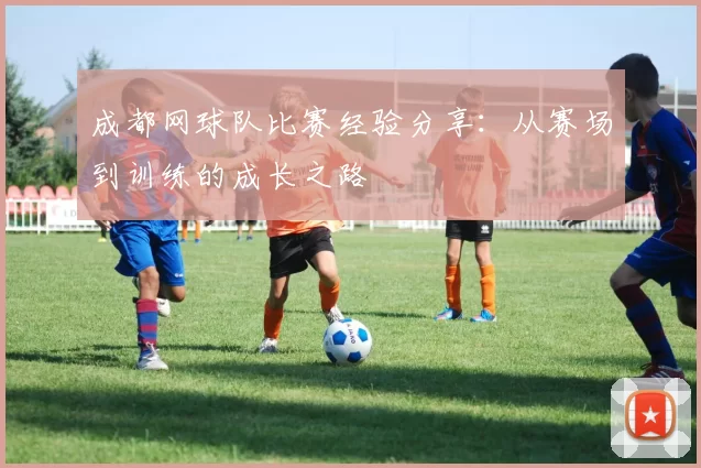 成都网球队比赛经验分享：从赛场到训练的成长之路
