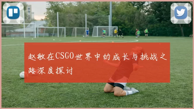 赵敏在CSGO世界中的成长与挑战之路深度探讨