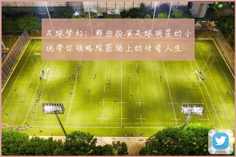 足球梦幻：那些扮演足球明星的小说带你领略绿茵场上的传奇人生