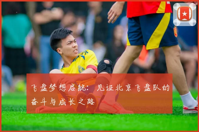 飞盘梦想启航：见证北京飞盘队的奋斗与成长之路
