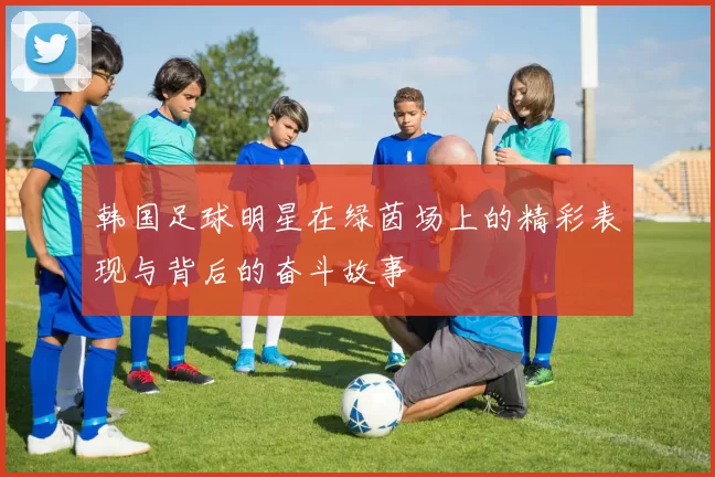 韩国足球明星在绿茵场上的精彩表现与背后的奋斗故事