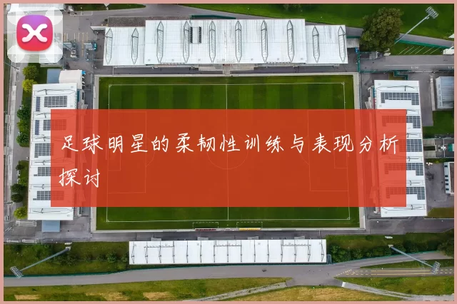 足球明星的柔韧性训练与表现分析探讨