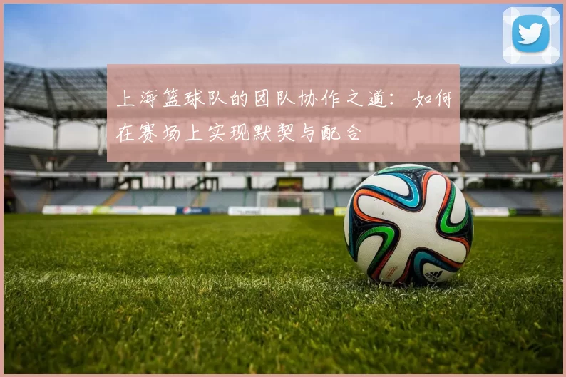上海篮球队的团队协作之道：如何在赛场上实现默契与配合