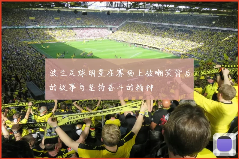 波兰足球明星在赛场上被嘲笑背后的故事与坚持奋斗的精神