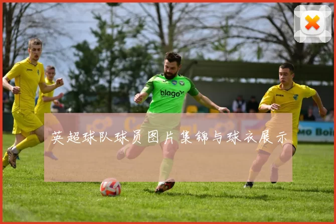 英超球队球员图片集锦与球衣展示