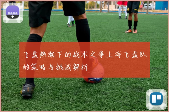 飞盘热潮下的战术之争上海飞盘队的策略与挑战解析
