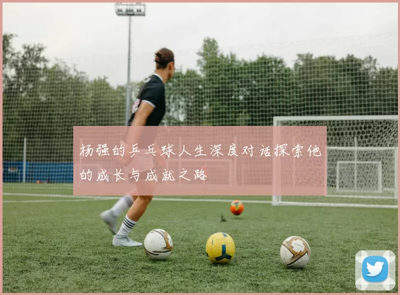 杨强的乒乓球人生深度对话探索他的成长与成就之路