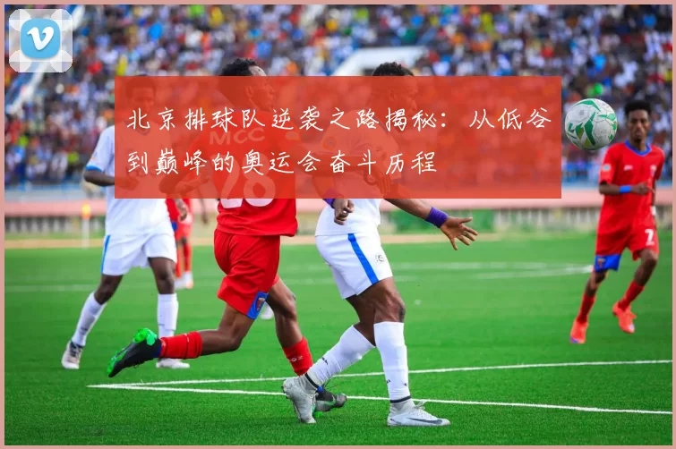北京排球队逆袭之路揭秘：从低谷到巅峰的奥运会奋斗历程