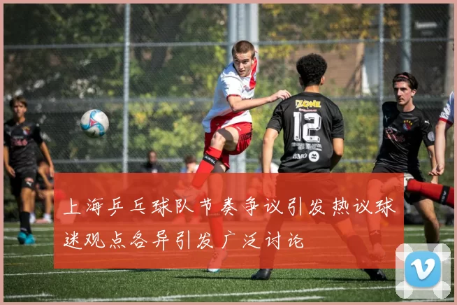上海乒乓球队节奏争议引发热议球迷观点各异引发广泛讨论