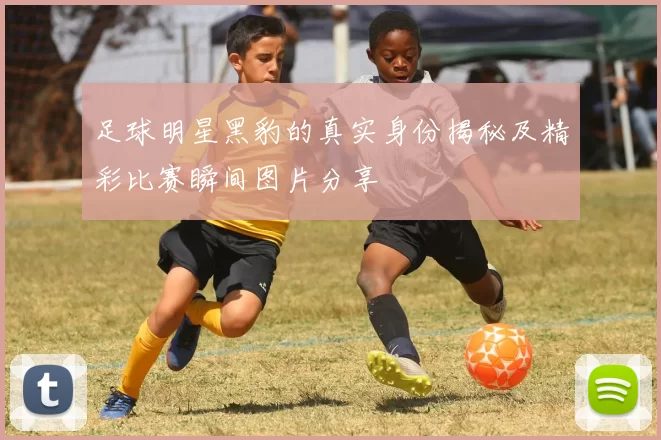 足球明星黑豹的真实身份揭秘及精彩比赛瞬间图片分享