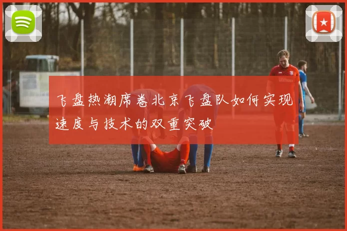 飞盘热潮席卷北京飞盘队如何实现速度与技术的双重突破