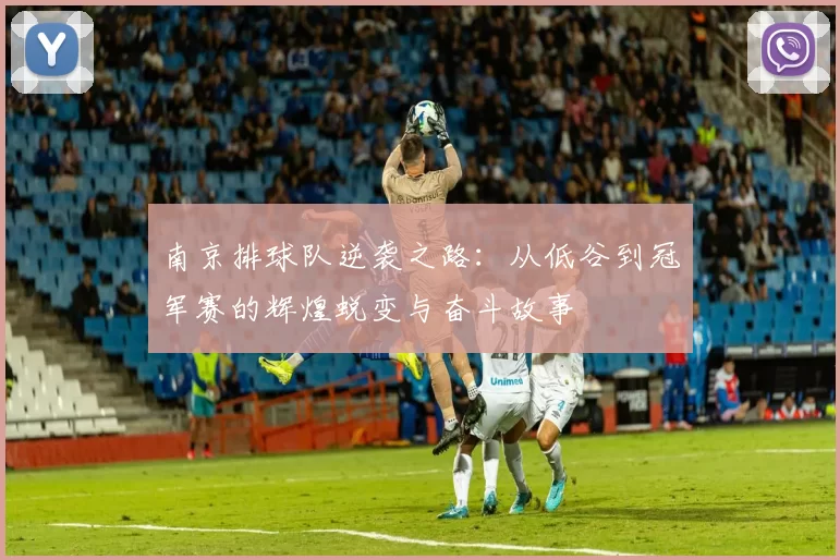 南京排球队逆袭之路：从低谷到冠军赛的辉煌蜕变与奋斗故事