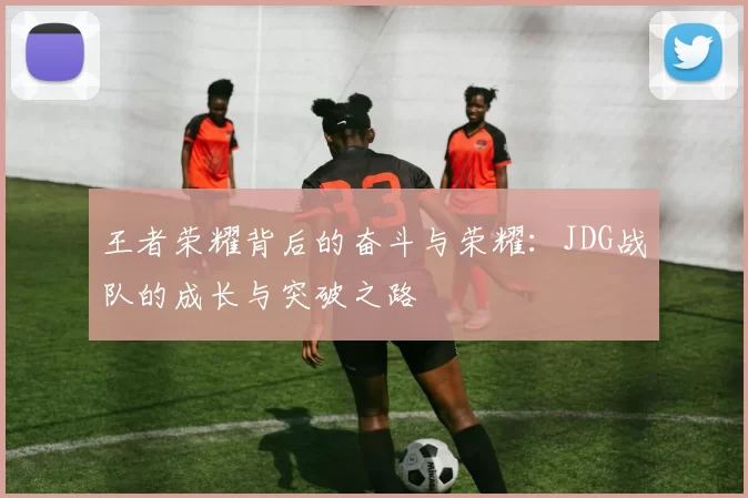 王者荣耀背后的奋斗与荣耀：JDG战队的成长与突破之路