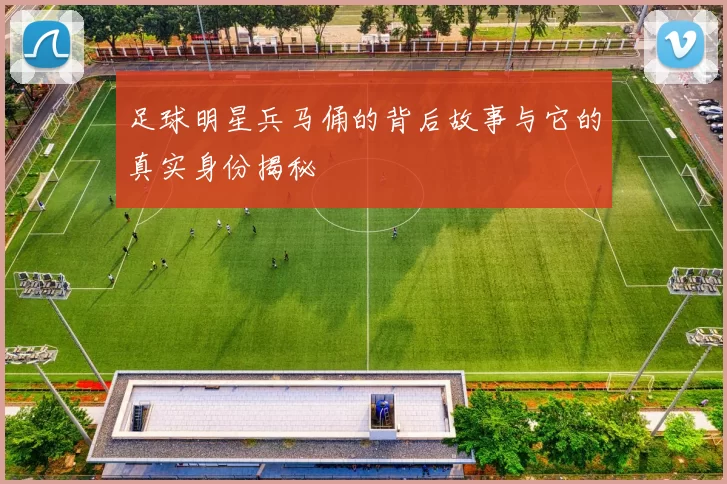 足球明星兵马俑的背后故事与它的真实身份揭秘