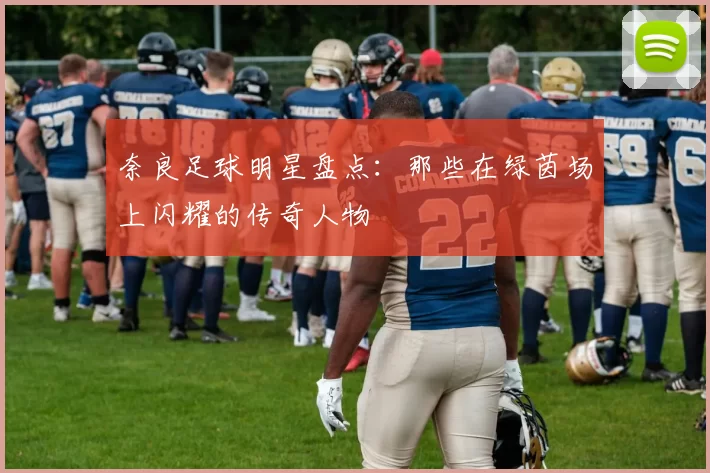 奈良足球明星盘点:那些在绿茵场上闪耀的传奇人物