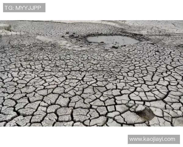 全球气候变化加剧极端天气现象 未来几年可能迎来更多极端事件